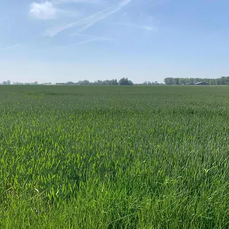Apartment In With Access, Cleaning Included Nieuwpoort